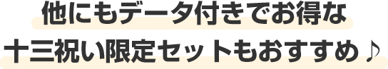 他にもデータ付きでお得な十三祝い限定セットもおすすめ