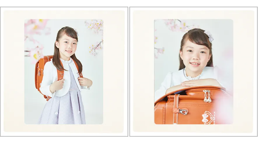 ドリームコレクション（16カット）