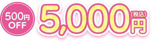 500円OFF税込5,000円