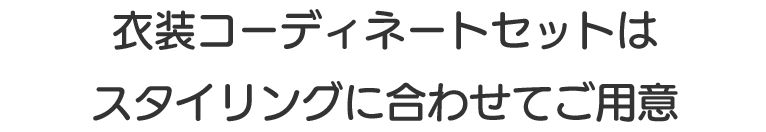 衣装コーディネートセットはスタイリングに合わせてご用意
