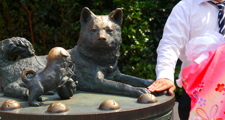 水天宮でお宮参り|東京の水天宮ならではのポイントと注意点