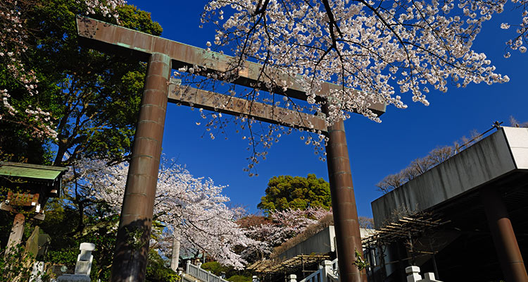 【横浜10社】お宮参りにおすすめの神社は?