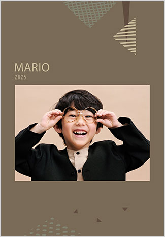 ドリームコレクションチョコレート1